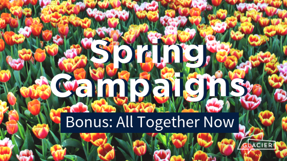 Blog_Header_Spring Campaigns_Bonus: All together now_Bright tulip background